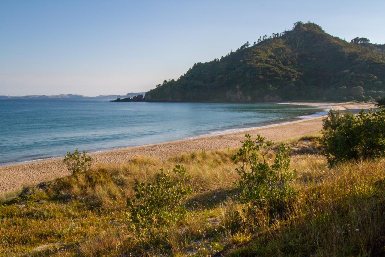 Taigh Na Mara Bed And Breakfast Whitianga Buitenkant foto