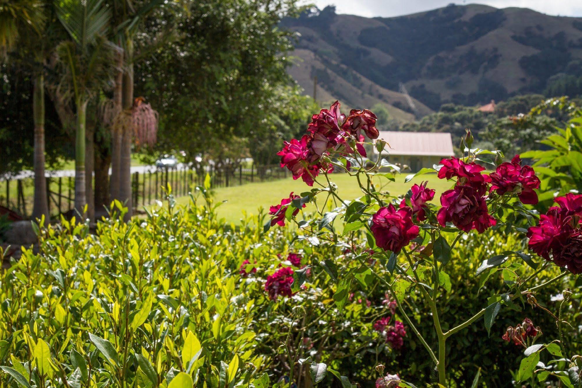 Taigh Na Mara Bed And Breakfast Whitianga Buitenkant foto