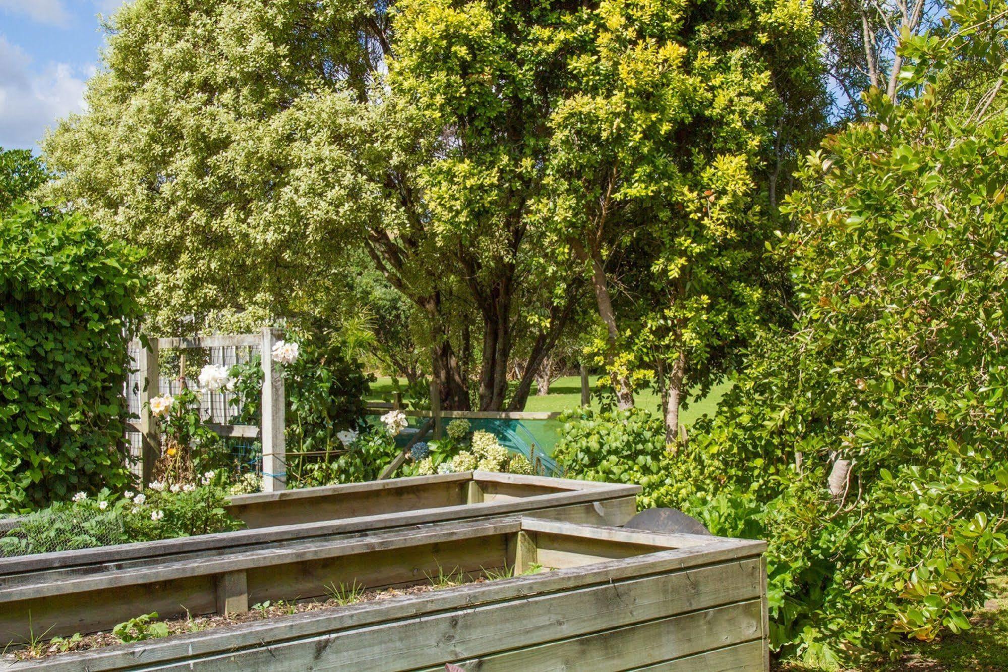 Taigh Na Mara Bed And Breakfast Whitianga Buitenkant foto
